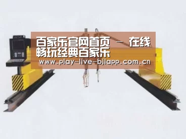 产品名称十七
